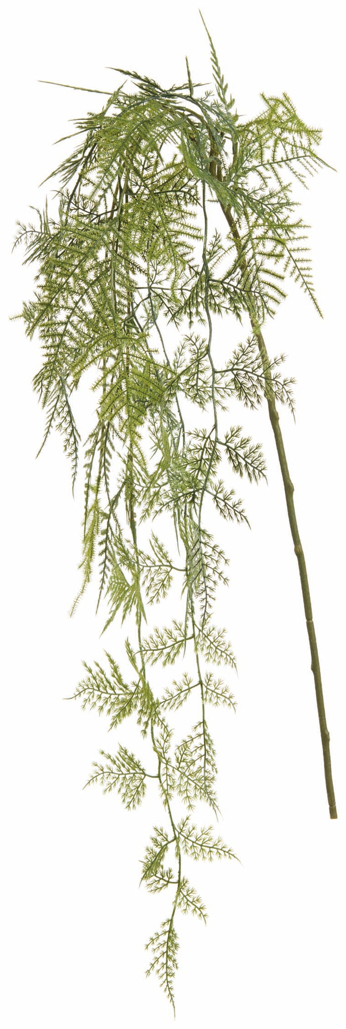 Silk green asparagus fern hanging spray for transitional everyday home decor from Magnolias Home Decor