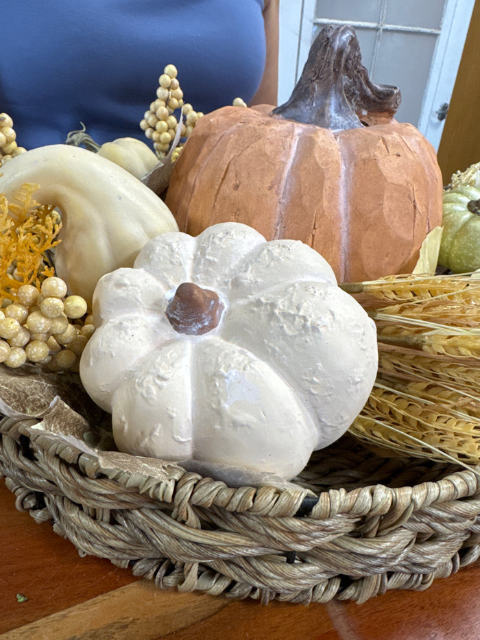 Ceramic cream natural look pumpkin 5.3 inch for farmhouse cottagecore fall home decor from Magnolias Home Decor