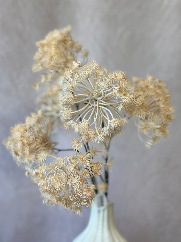 Silk cream white autumn queen annes lace spray outdoor safe for farmhouse transitional fall home decor from Magnolias Home Decor