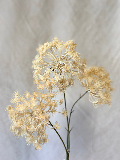 Autumn Queen Anne's Lace Spray