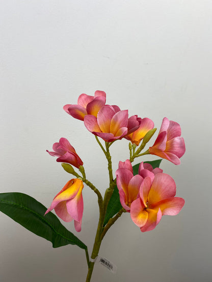 Boysenberry Plumeria Spray