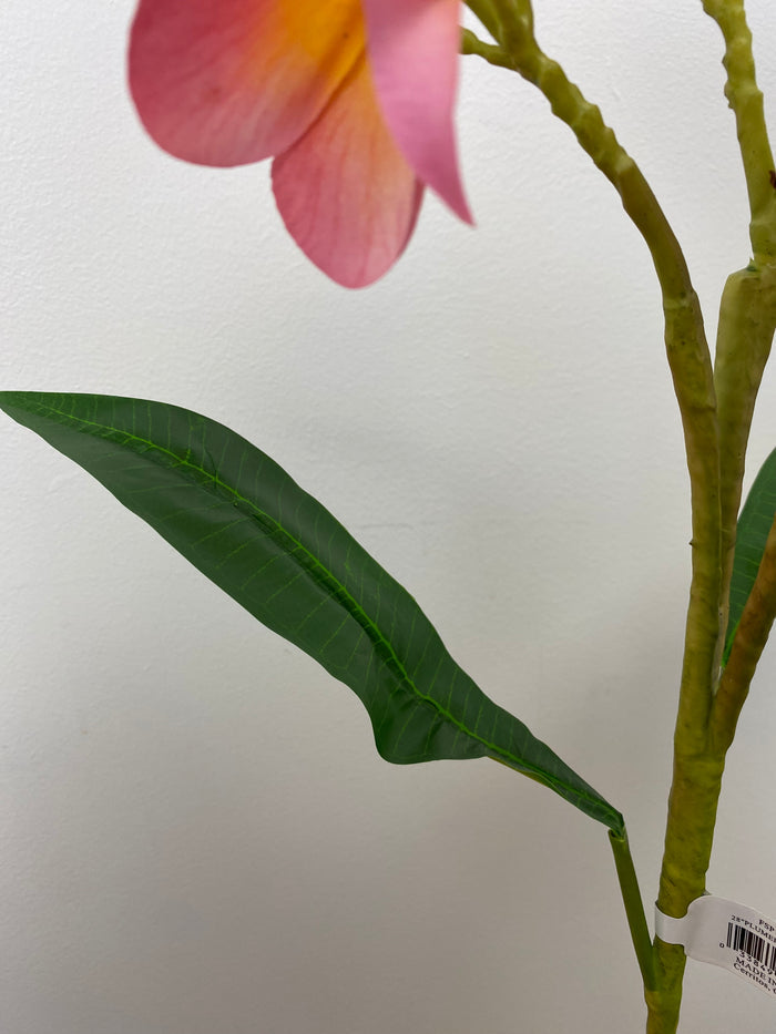 Boysenberry Plumeria Spray