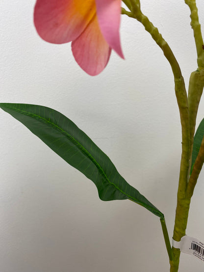Boysenberry Plumeria Spray