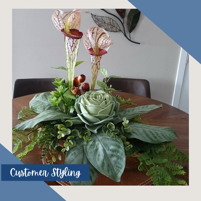 Burgundy Pitcher Plant Spray