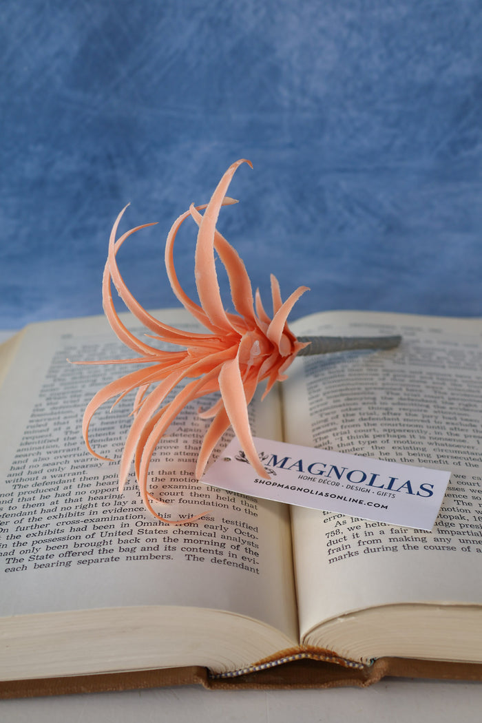 Silk coastal airfern succulent pick 7 inch for transitional everyday home decor from Magnolias Home Decor