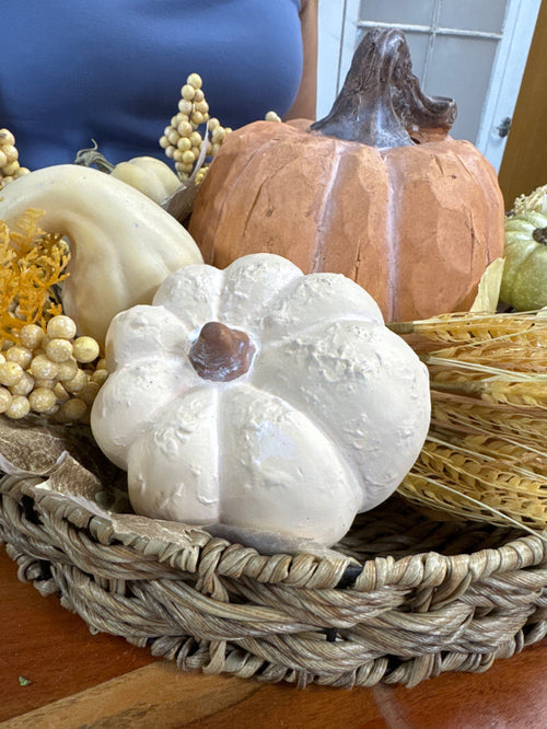 Ceramic cream natural look pumpkin 5.3 inch for farmhouse cottagecore fall home decor from Magnolias Home Decor