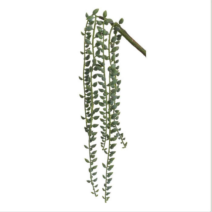 Silk green frosted senecio vine 16 inch for transitional everyday home decor from Magnolias Home Decor
