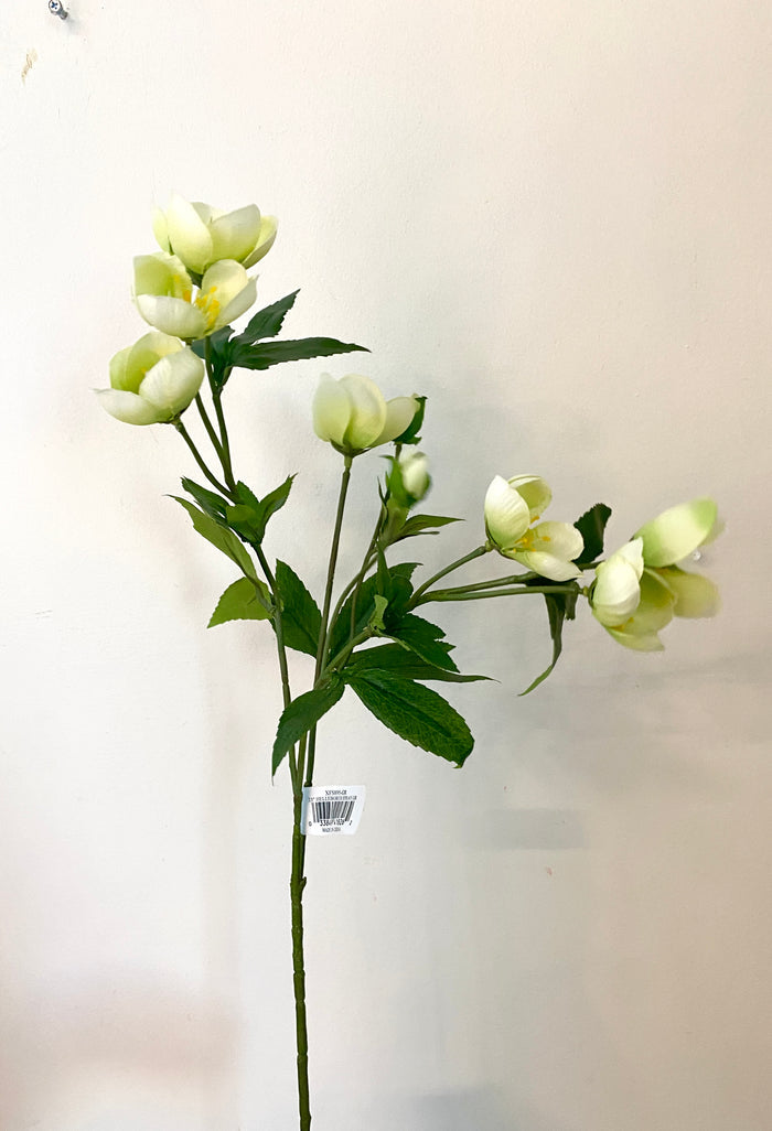 Silk green helleborus spray 23 inch for transitional everyday home decor from Magnolias Home Decor