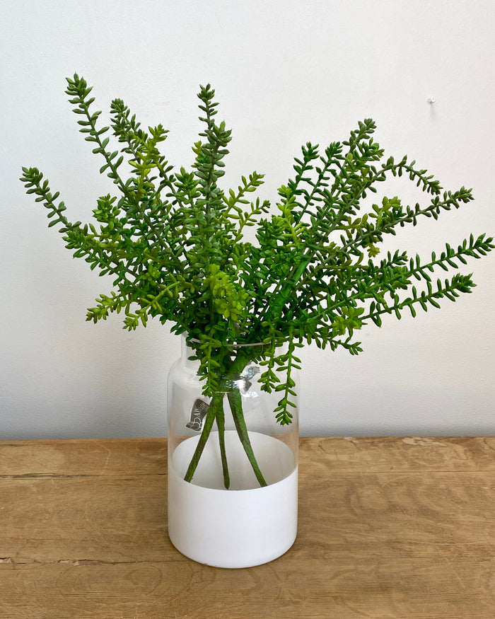 Green Journey Sedum Spray