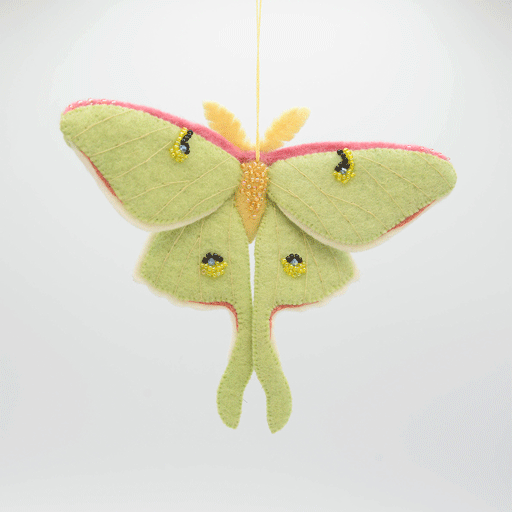 Fair trade felt Luna Moth ornament with soft merino wool, intricate stitching, and hanging loop—ideal for seasonal displays, nature-inspired décor, or gifting

GIF