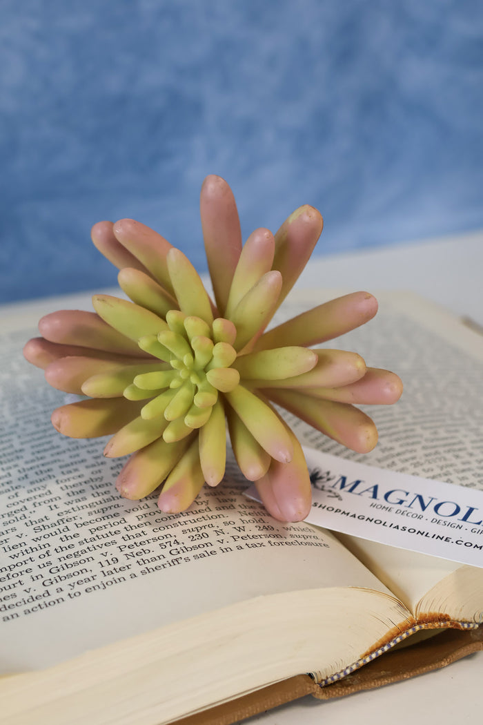 Silk sage green medora finger succulent for transitional everyday home decor from Magnolias Home Decor