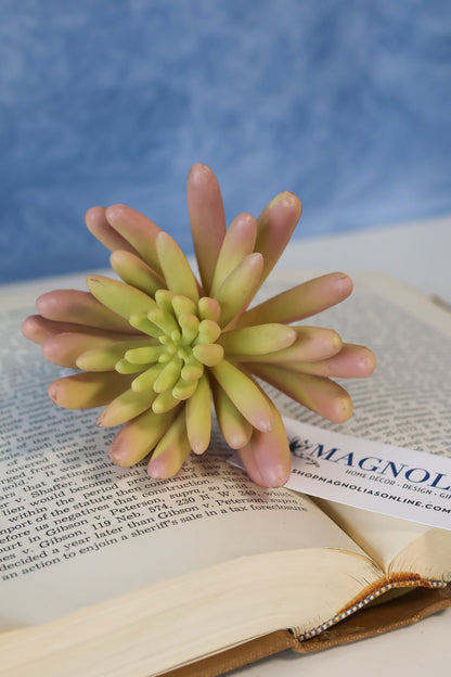 Silk sage green medora finger succulent for transitional everyday home decor from Magnolias Home Decor