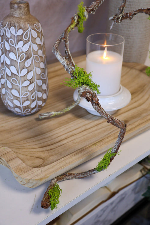 Natural more moss lichen branch for farmhouse transitional everyday home decor from Magnolias Home Decor