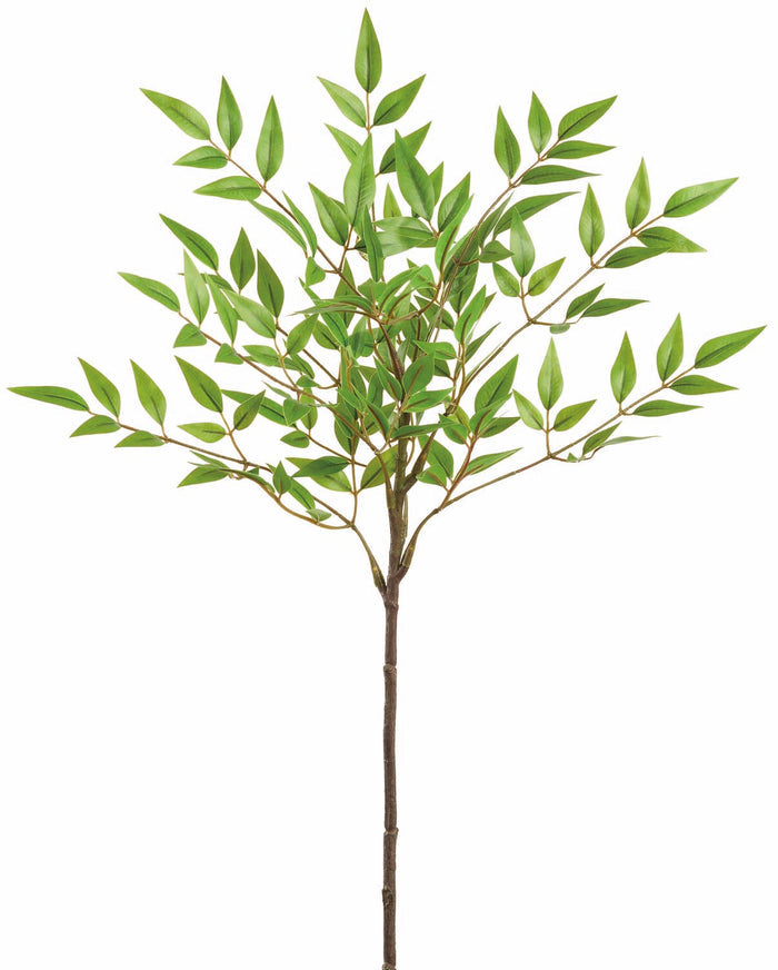 Natural Nandina Spray
