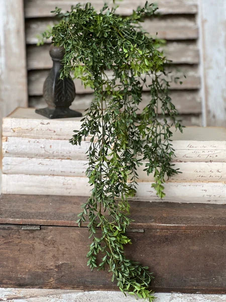 Silk green new england boxwood hanging bush for farmhouse transitional everyday home decor from Magnolias Home Decor