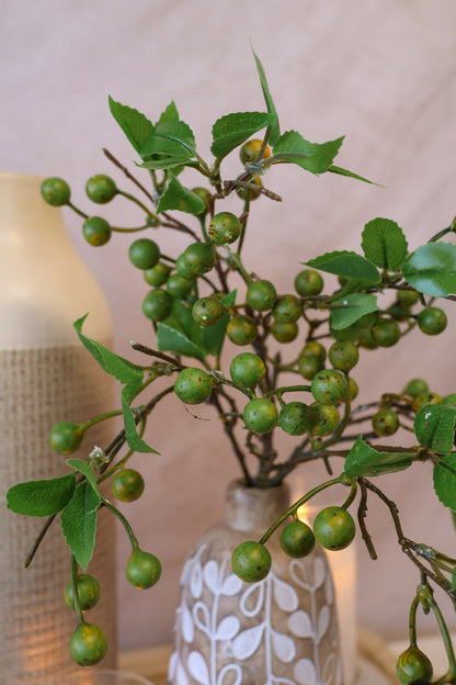 Olive Berry Spray
