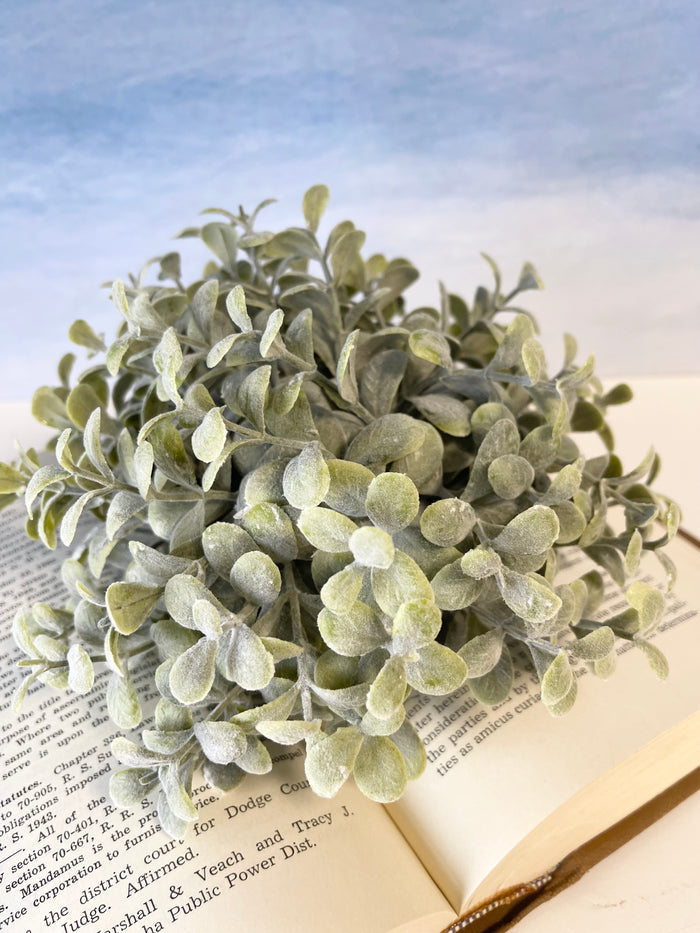 Pebble Eucalyptus Half Sphere