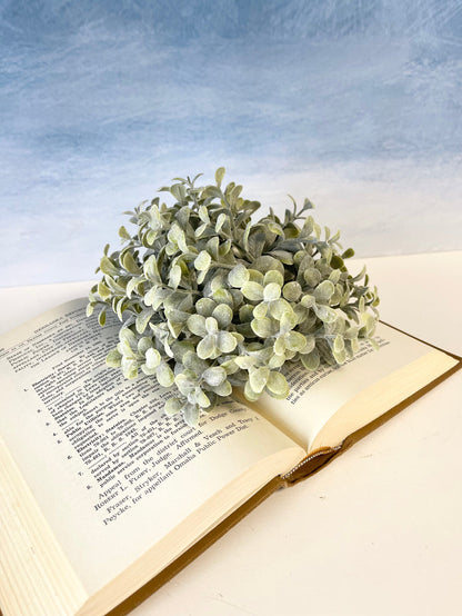 Pebble Eucalyptus Half Sphere