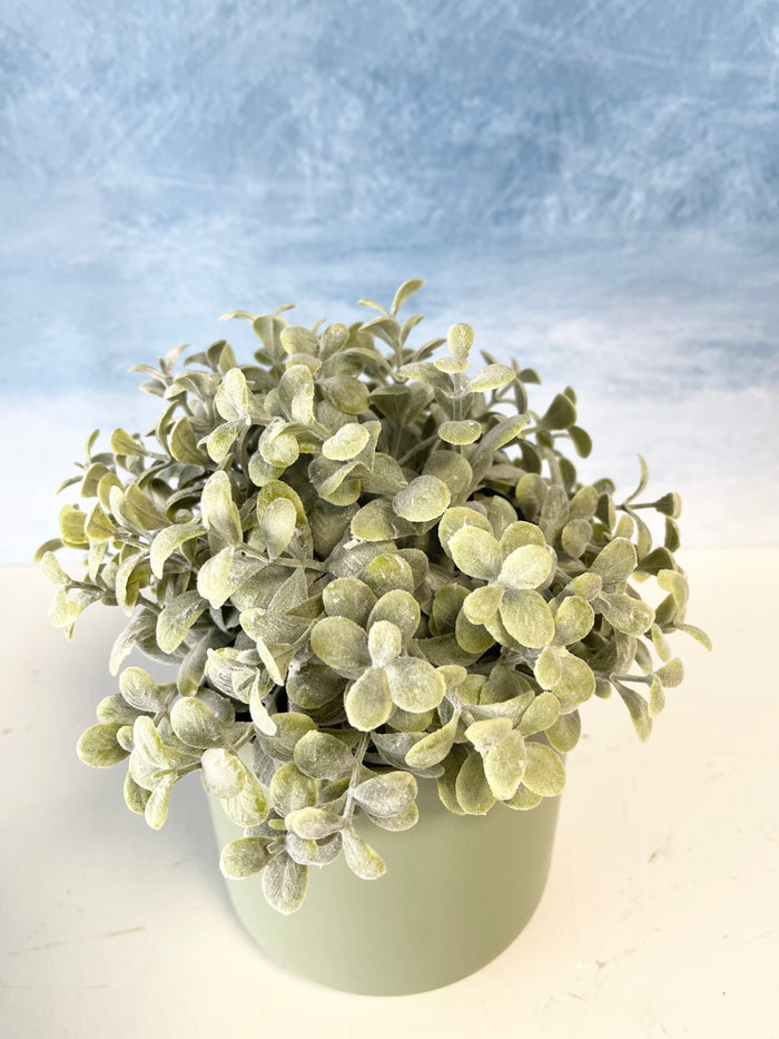 Pebble Eucalyptus Half Sphere