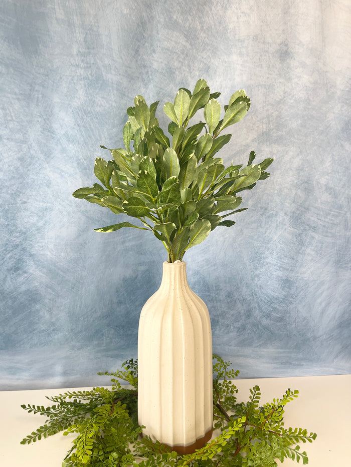 Silk green pittosporum spray 30 inch for farmhouse transitional everyday home decor from Magnolias Home Decor