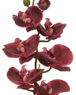 Silk plum phalaenopsis orchid spray for transitional everyday home decor from Magnolias Home Decor