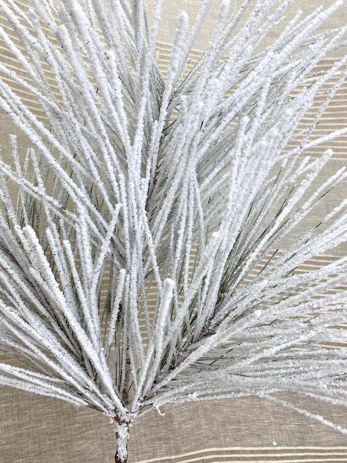 Powdered Snow Long Needle Pine Spray