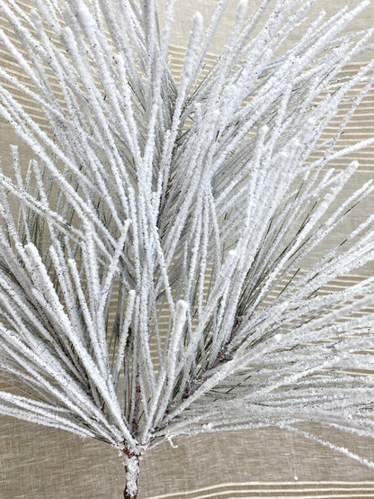 Powdered Snow Long Needle Pine Spray