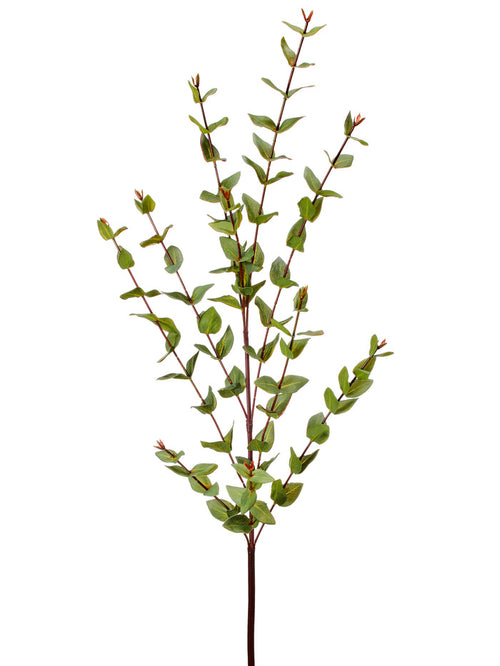 Silk green real touch mini eucalyptus spray 38 inch for transitional everyday home decor from Magnolias Home Decor