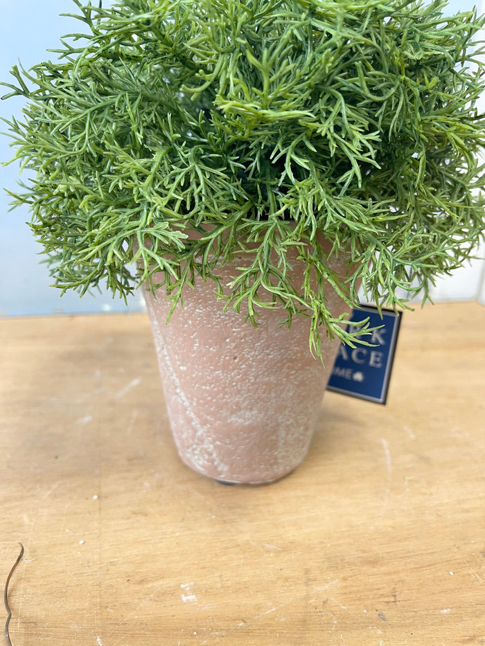 Real Touch Potted Sprengeri