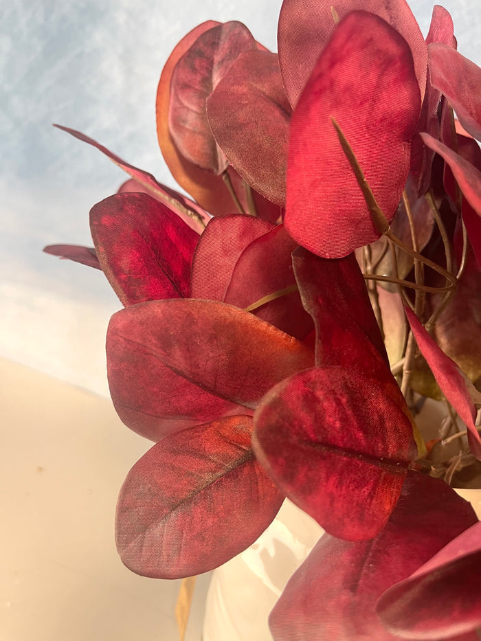 Red Cotinus Leaf Bush