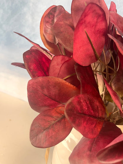 Red Cotinus Leaf Bush