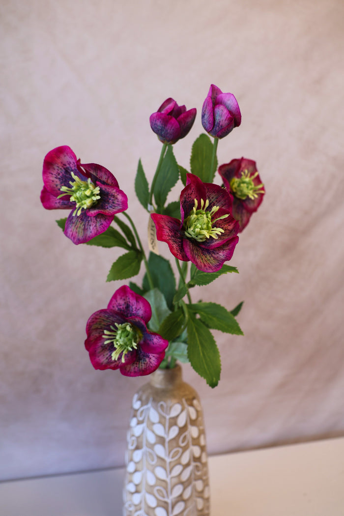Silk cream sophia hellebore spray for cottagecore transitional everyday home decor from Magnolias Home Decor