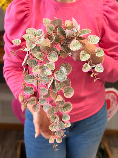 Silk sage pink string of hearts hanging bush for cottagecore transitional everyday home decor from Magnolias Home Decor