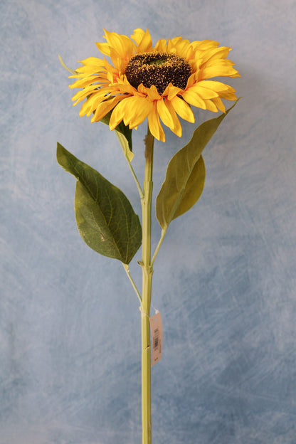 Sunshine Sunflower Stem