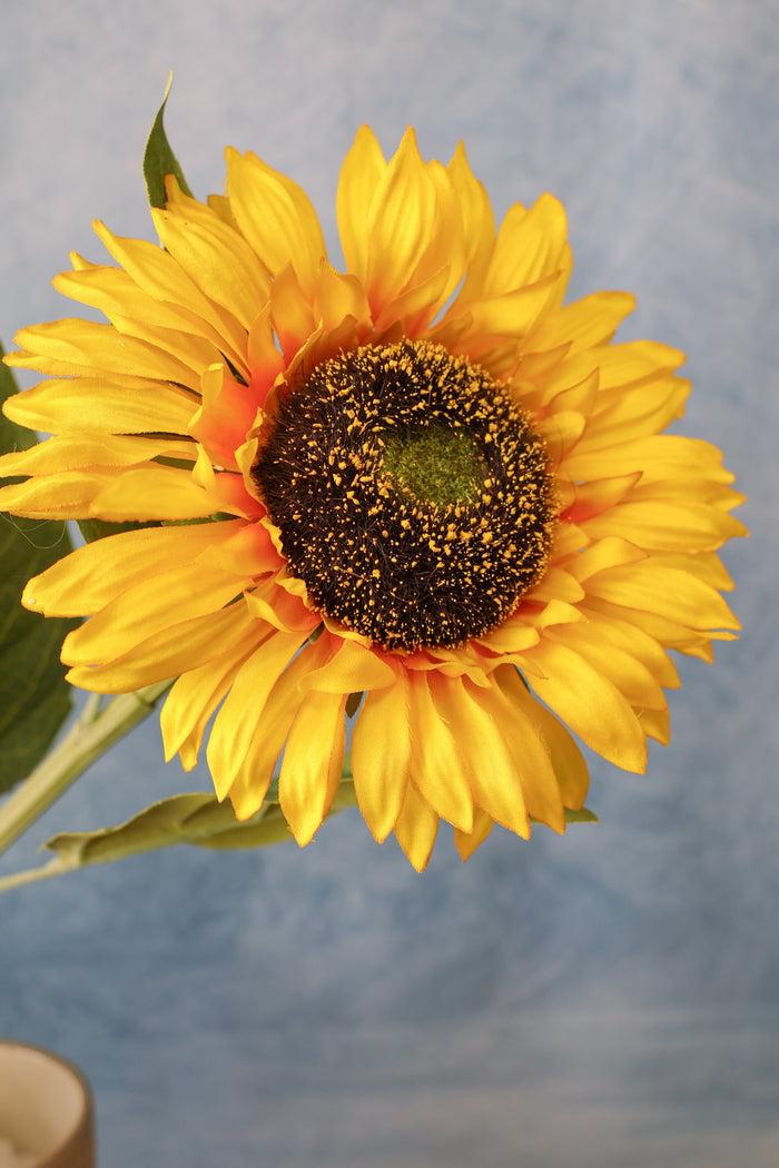 Sunshine Sunflower Stem