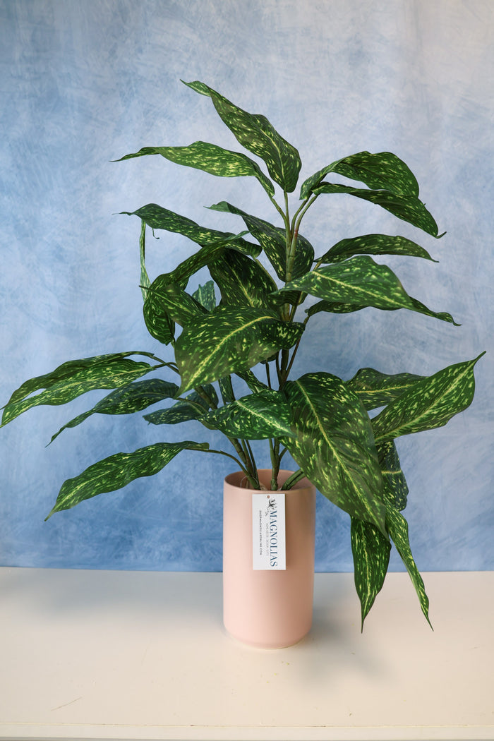 Silk green cream thomas aucuba plant for transitional everyday home decor from Magnolias Home Decor