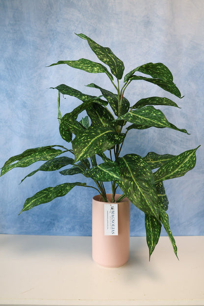 Silk green cream thomas aucuba plant for transitional everyday home decor from Magnolias Home Decor