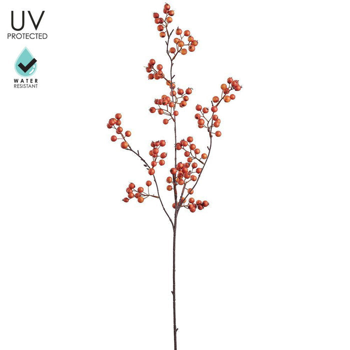 UV Protect Orange Berry Spray