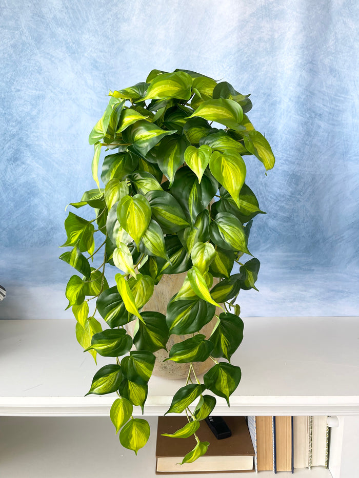 Silk green UV protect real touch philo bush outdoor safe for transitional everyday home decor from Magnolias Home Decor