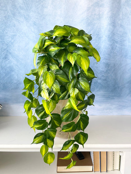 Silk green UV protect real touch philo bush outdoor safe for transitional everyday home decor from Magnolias Home Decor