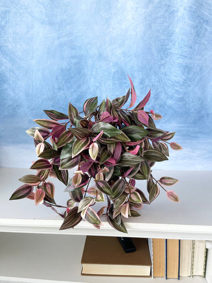 Silk purple green UV protect wandering jew hanging bush outdoor safe for transitional everyday home decor from Magnolias Home Decor