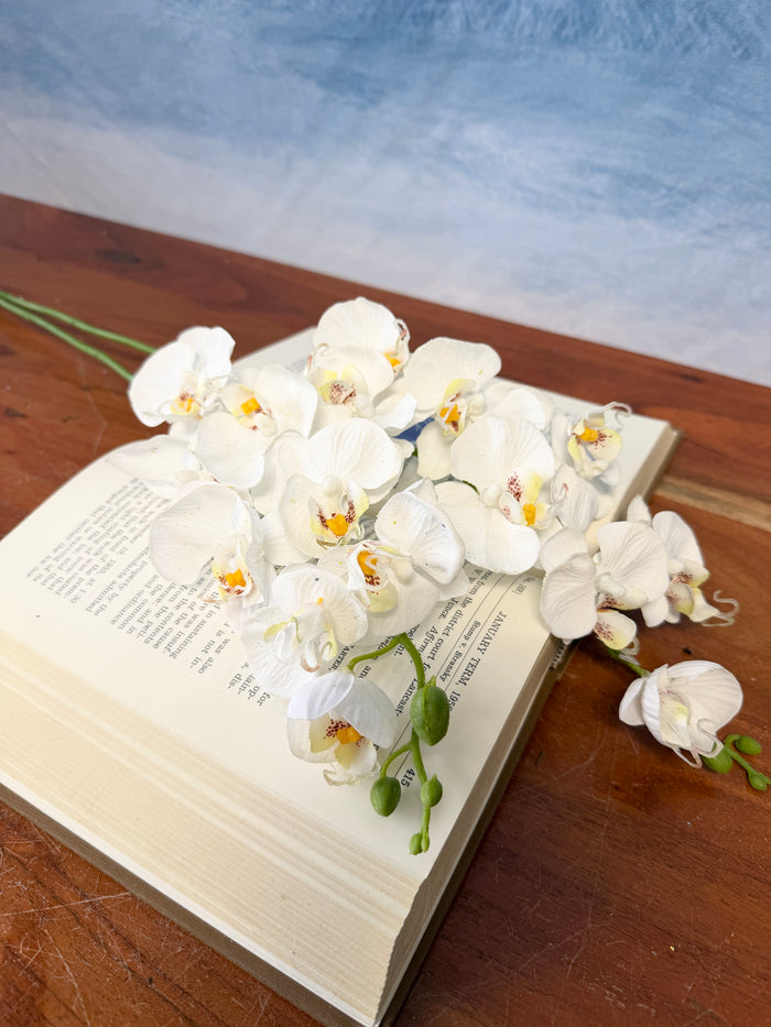 Silk white phalaenopsis orchid spray for transitional everyday home decor from Magnolias Home Decor