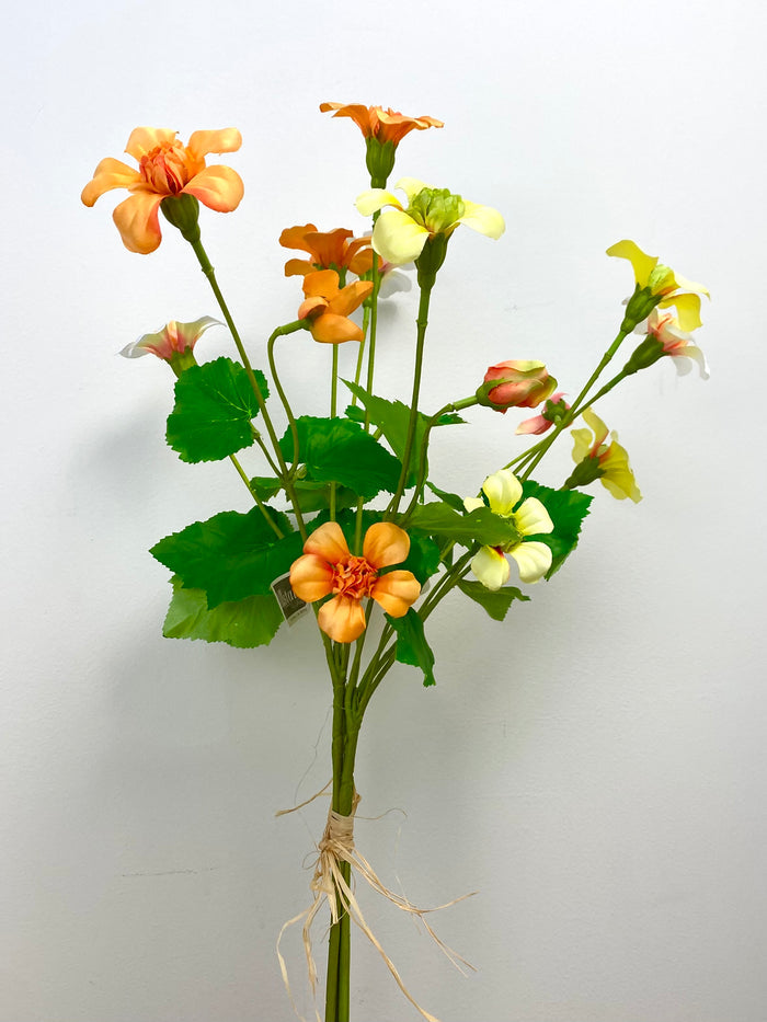 Yellow Mixed Nasturtium Bundle