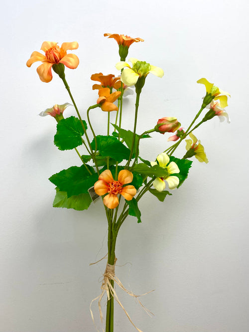 Yellow Mixed Nasturtium Bundle