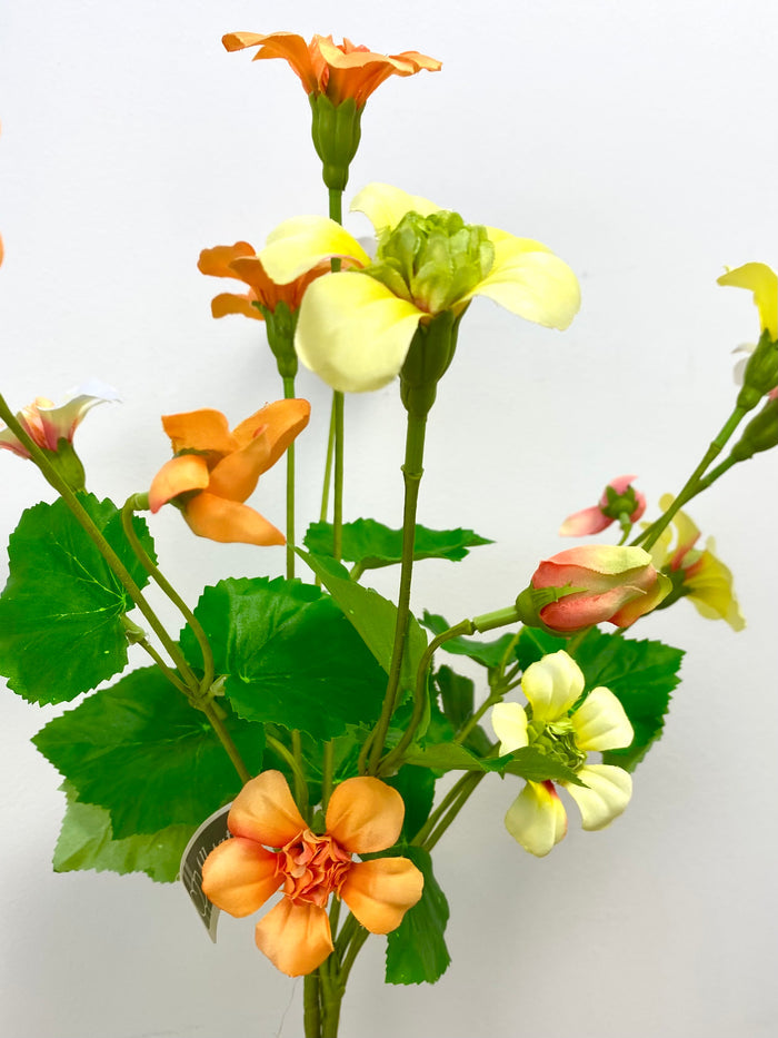 Yellow Mixed Nasturtium Bundle
