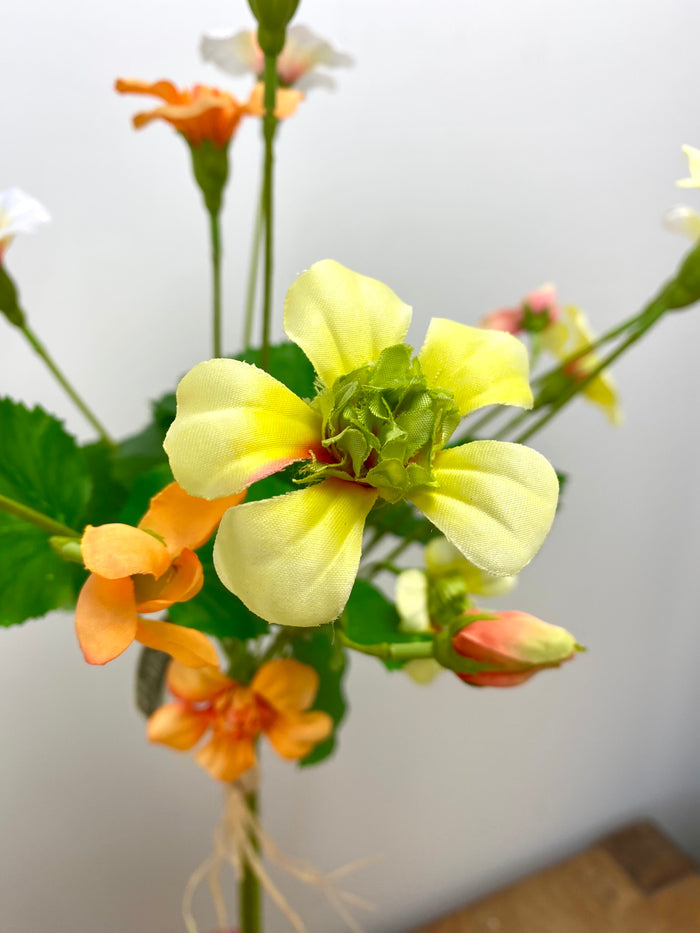 Yellow Mixed Nasturtium Bundle