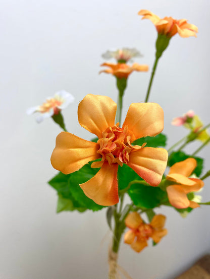 Yellow Mixed Nasturtium Bundle