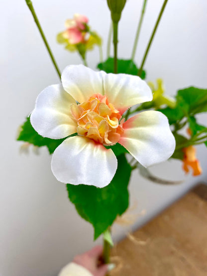Yellow Mixed Nasturtium Bundle